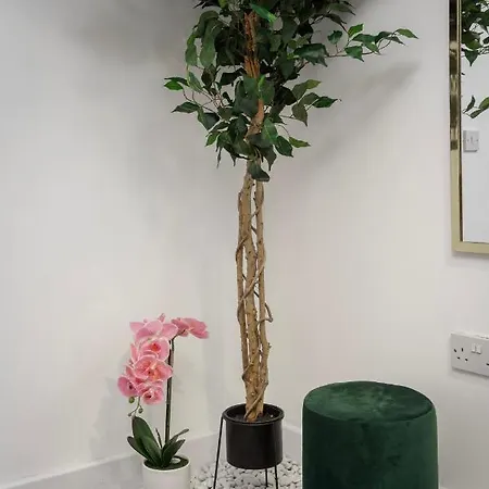 Apartment King Sized Luxury - Stylish Flat