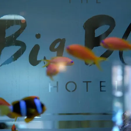 The Big Blue - Pleasure Hotell