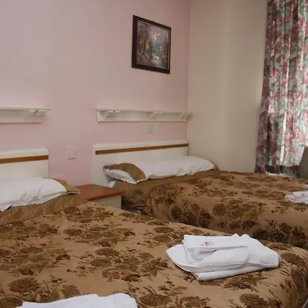Otel Alviston 3*