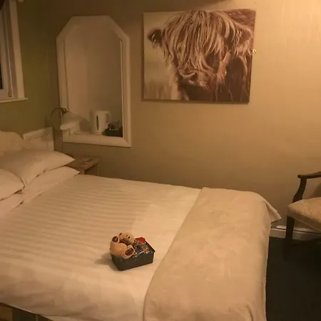 Hotel Nevada
