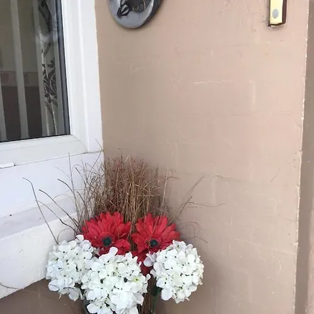 White Moon Bed and breakfast