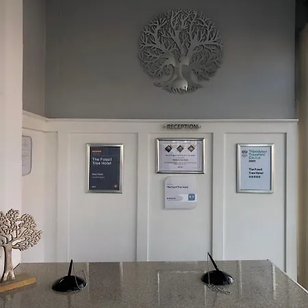 Hotel The Fossil Tree Blackpool