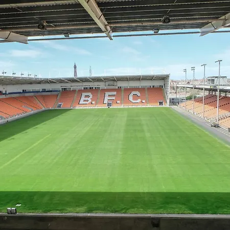 Bfc