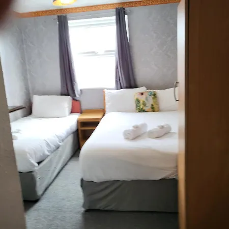 Tulip 3*