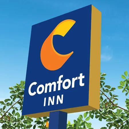Mini-hôtel Comfort Gresham 3*