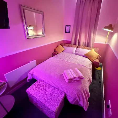 Apartment Rocks Pleasure