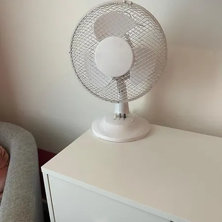 Apartment Rocks Pleasure