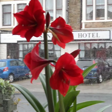 Guest house The Argyll 3*