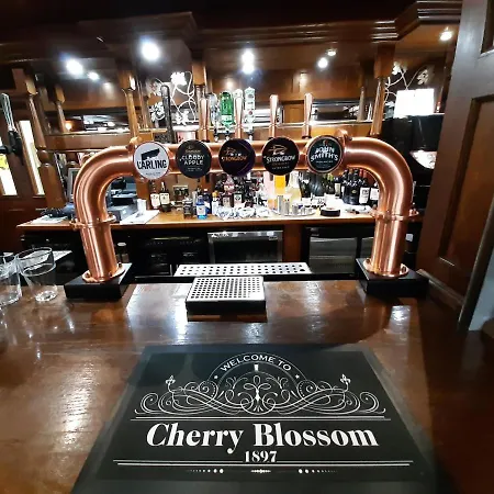 Inn Cherry Blossom 3*