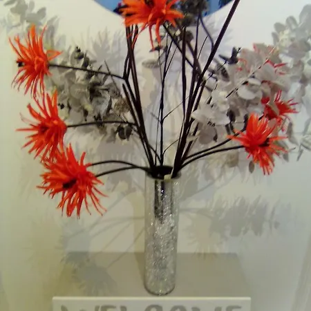 The Braeside Families And Couples Bed & Breakfast Blackpool