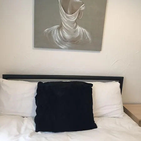 Willin House Konukevi 3*