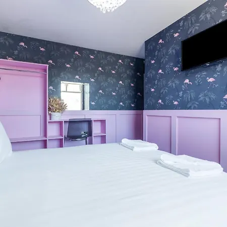 Apartment The Amazonian House By Sasco Blackpool