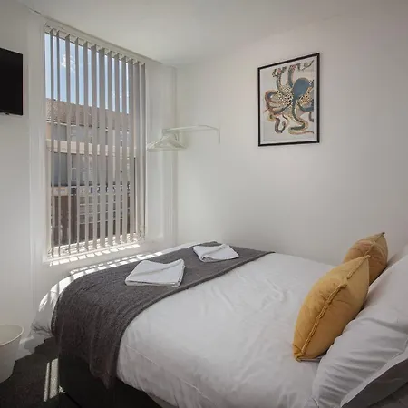 Apartment Jellyfish