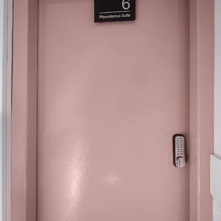 Apartment Jellyfish *