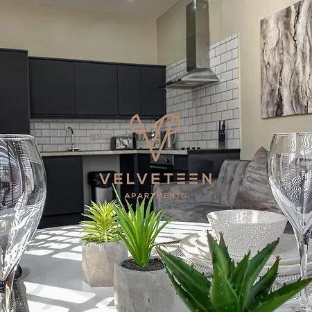 Velveteen By The V Group *