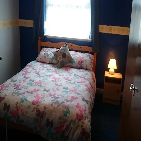 Tulip 3*