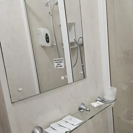 酒店 布伦海姆山酒店 3*