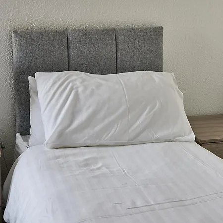 Pleasure Apartment