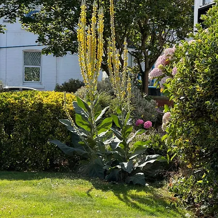 The Old Coach House Pensionat