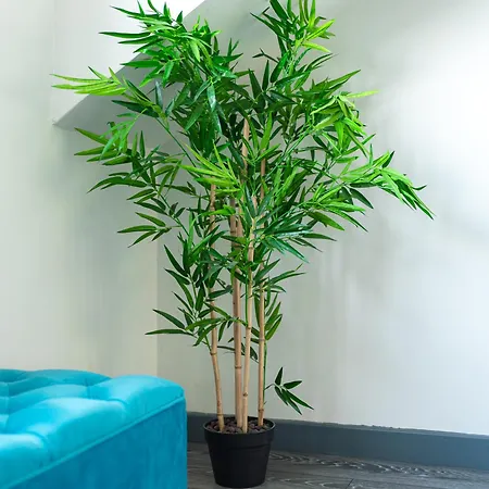 Charles Alexander Short - Vibe Apartment