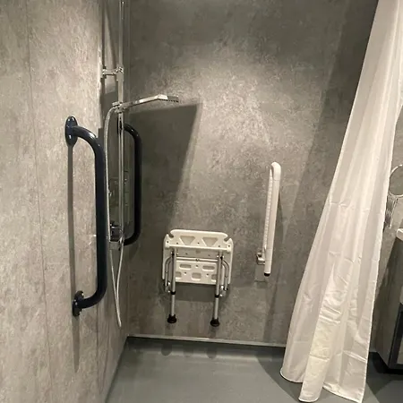 罗斯金酒店 酒店 3*