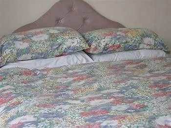 Bed & Breakfast The Blue Moon