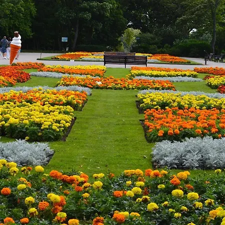 The Aspire Bed & Breakfast Blackpool