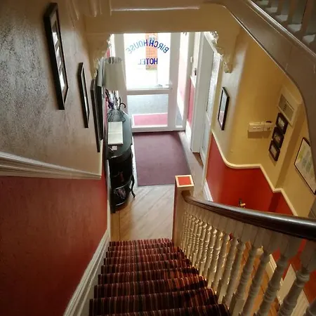 Birchhouse Guest house 3*