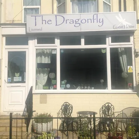 Alojamento de Acomodação e Pequeno-almoço The Dragonfly 4*