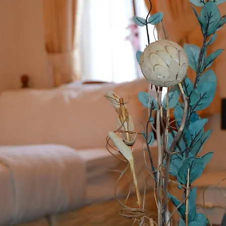 Fortuna House Guest house