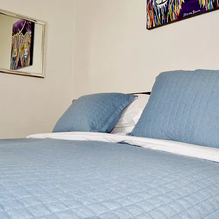 Guest house Avenue 3*