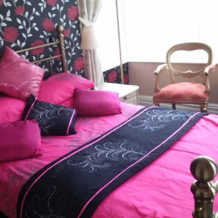 머큐리 B&B