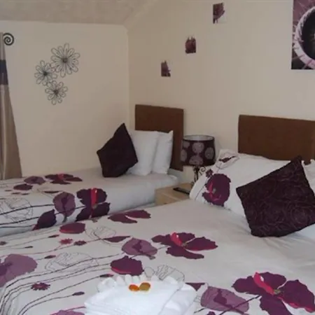 Birch Bed & Breakfast