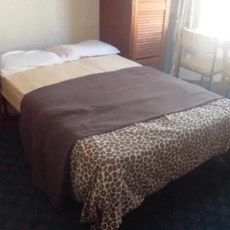 Hotel Singleton House