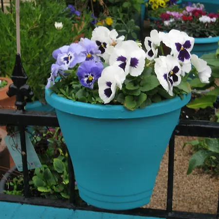 The Riversvale B&B Bed & Breakfast