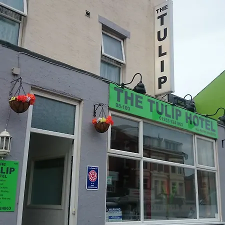 Hotel Tulip