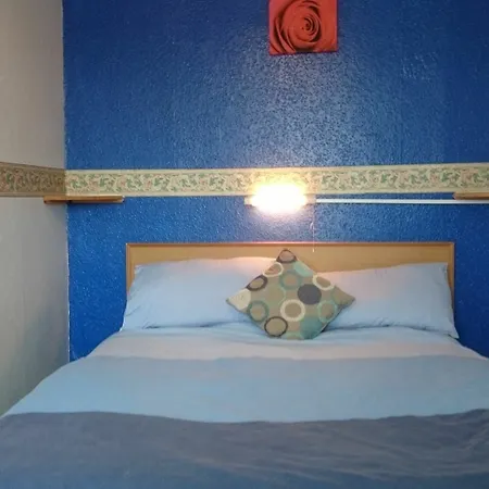 Tulip Hotel