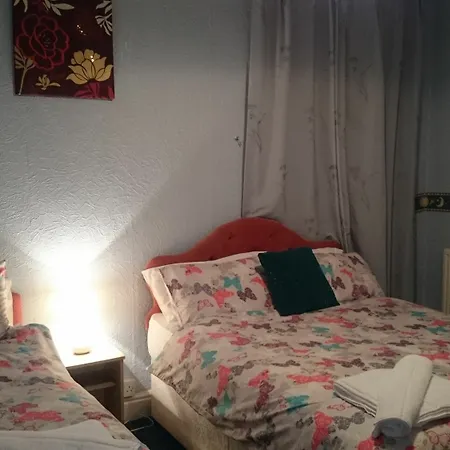 Hotel Tulip 3*