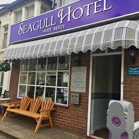 Bed & Breakfast Seagull 3*