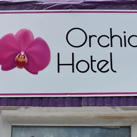 Myroomz Orchid Pensionat Blackpool