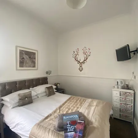 B&B 메이페어