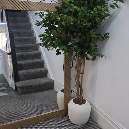 Bluebell Guest house