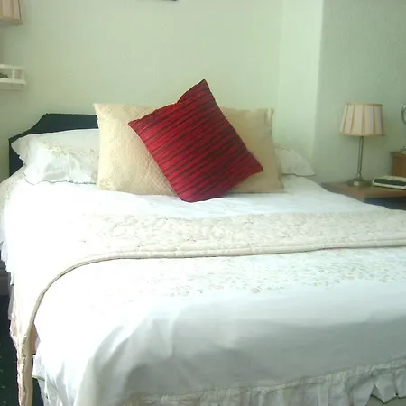 Alpha Guest 3*