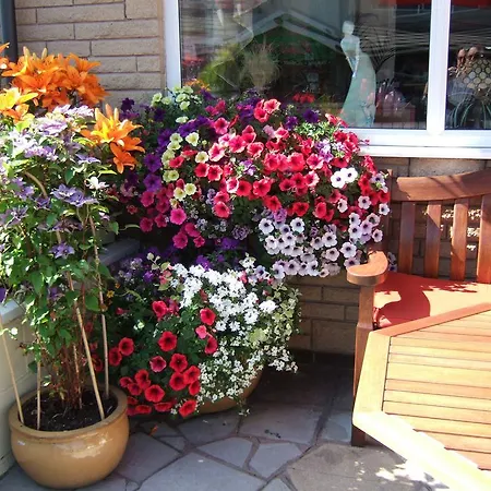 Guest house Granville 3*