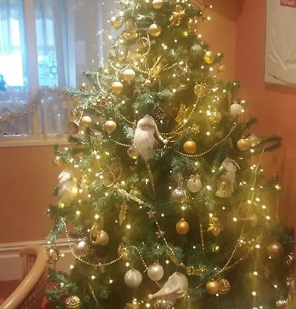 Panzió The Falcon