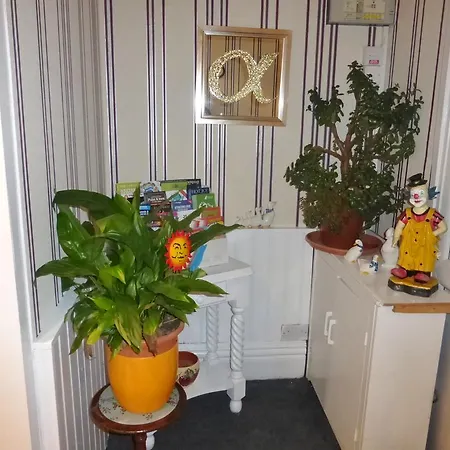 Alpha Guest Guest house