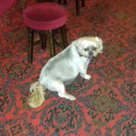 Hotel Elmfield 3*