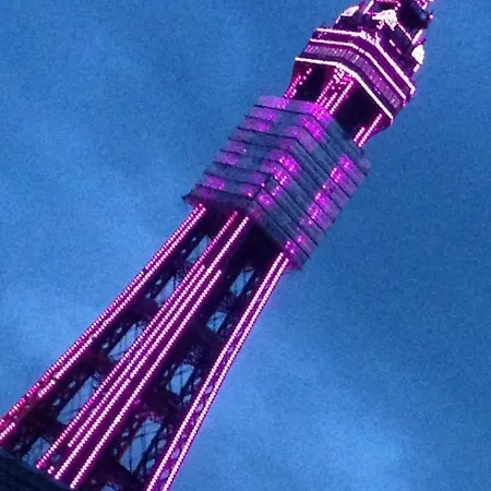 Wilsons - Tower View Couette-café