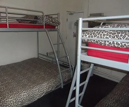 The Hangover Hostel *
