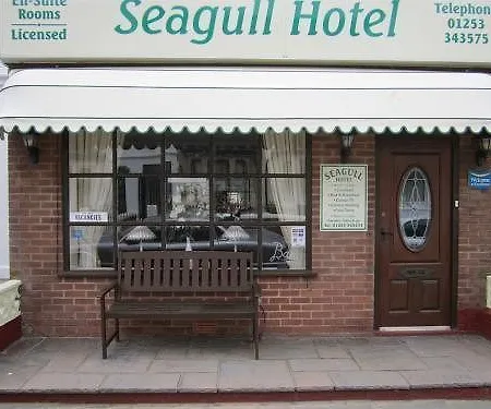 Seagull 3*